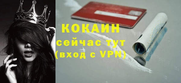 молекула духа Белокуриха
