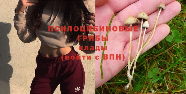 spice Белоозёрский