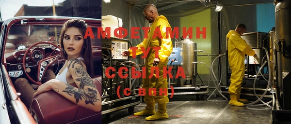 молекула духа Белокуриха