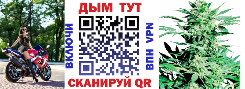 Конопля семена Вышний Волочёк